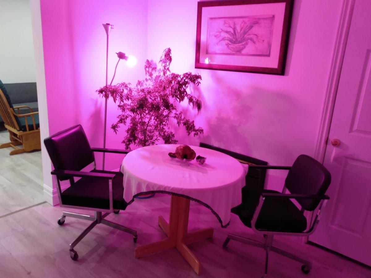 Healing Touch Holistic Living Space Amherst Bagian luar foto